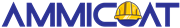 آمیکت آمیکت